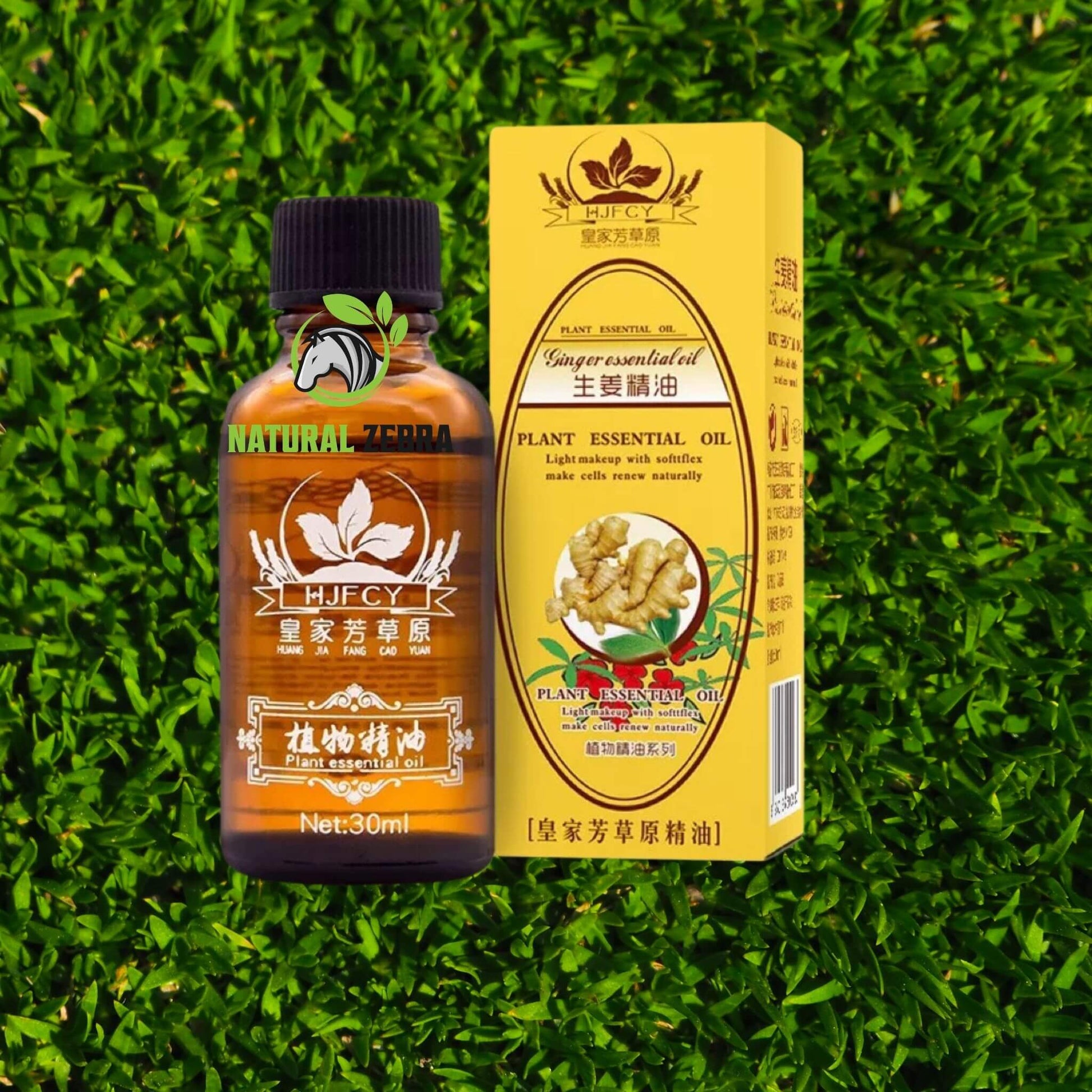 NATURAL ZEBRA | Ginger Essential Oil | 5 Bottles Bundle -