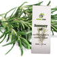 NATURAL ZEBRA | Rosemary Essential Oil -
