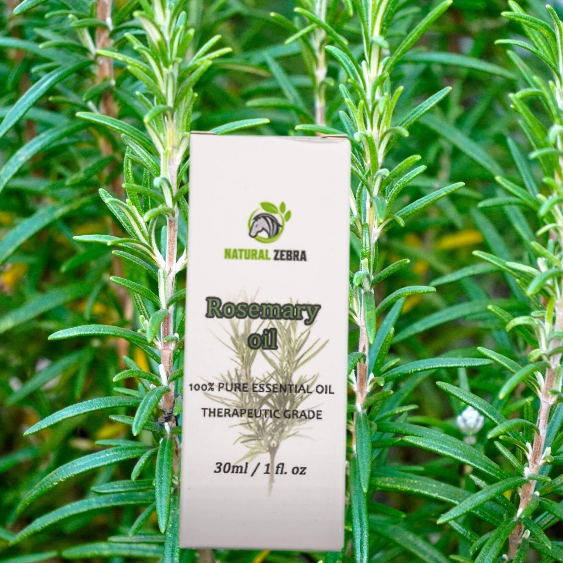 NATURAL ZEBRA | Rosemary Essential Oil -