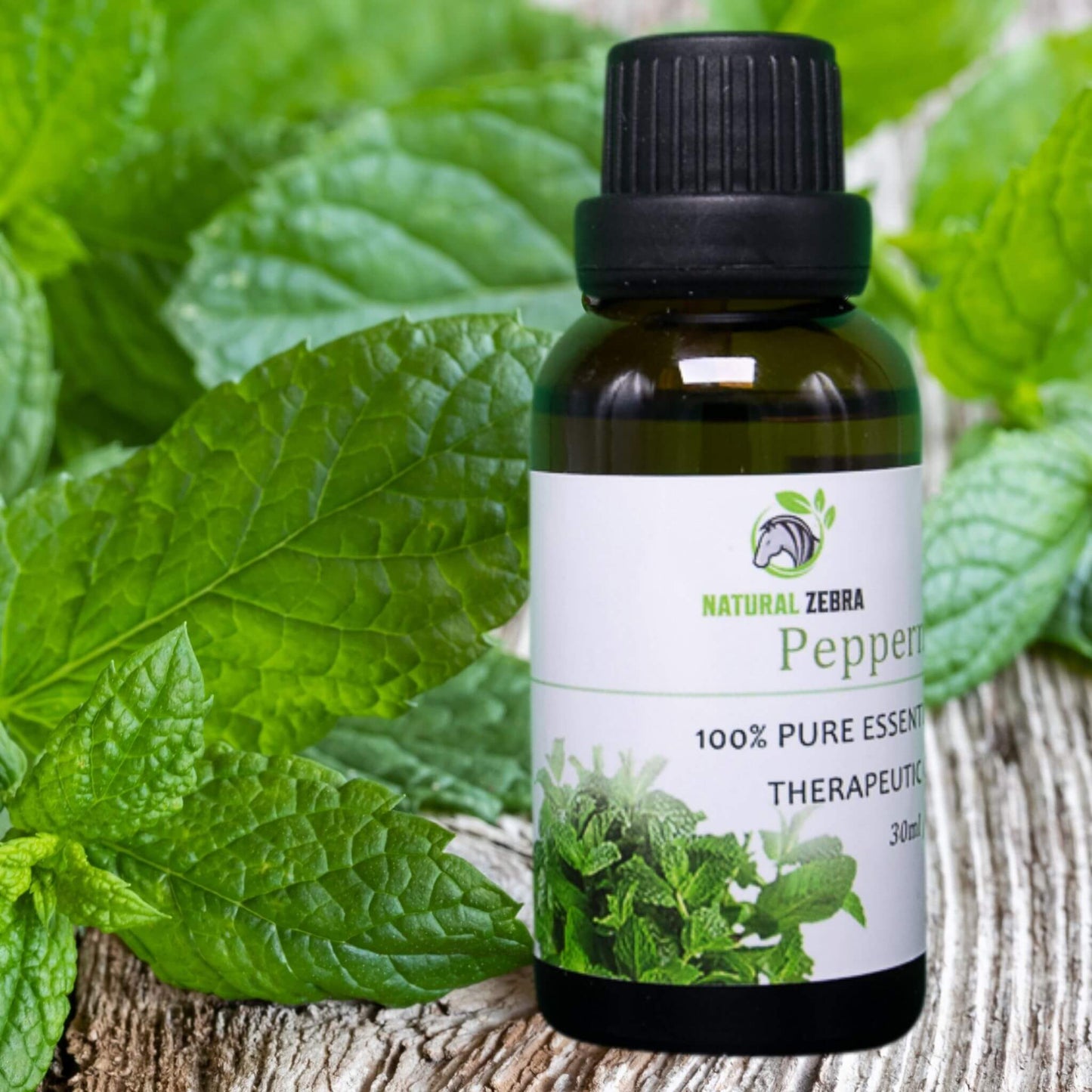 NATURAL ZEBRA | Peppermint Essential Oil - 30 ml / 1 fl.oz