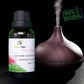 NATURAL ZEBRA | Geranium Essential Oil -