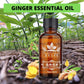NATURAL ZEBRA | Ginger Essential Oil | 3-Bottles Bundle -