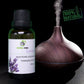 NATURAL ZEBRA | Lavender Essential Oil -