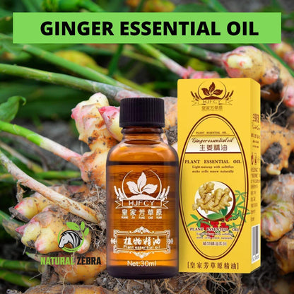 Ginger Essential Oil - 30ml - 20 - NATURAL ZEBRA