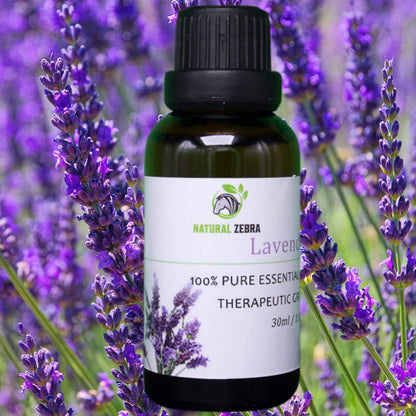 NATURAL ZEBRA | Lavender Essential Oil -
