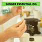 NATURAL ZEBRA | Ginger Essential Oil - 30ml -