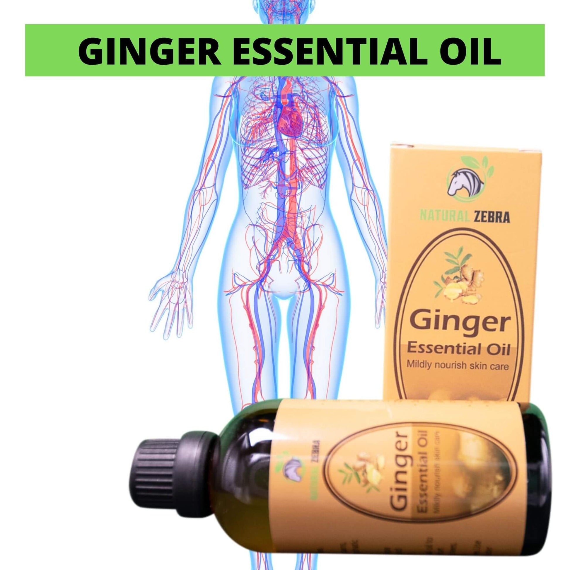 NATURAL ZEBRA | Ginger Essential Oil - 30ml -