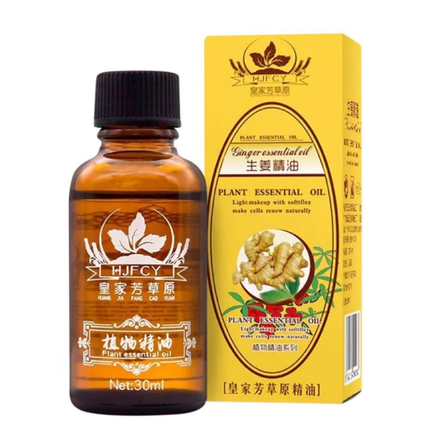 Ginger Essential Oil - 30ml - 3 - NATURAL ZEBRA