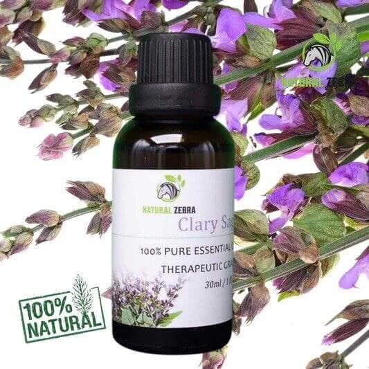 NATURAL ZEBRA | Clary Sage Essential Oil -